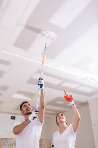 Best Emergency Mold Remediation  in Abbeville, AL