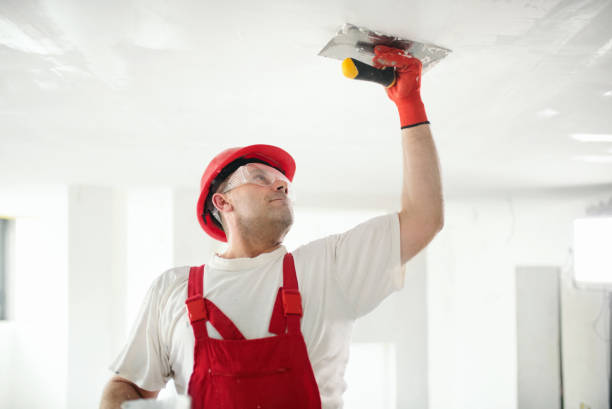 Best Commercial Mold Inspection  in Abbeville, AL