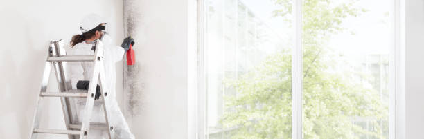 Best Mold-Related Health Consultation  in Abbeville, AL
