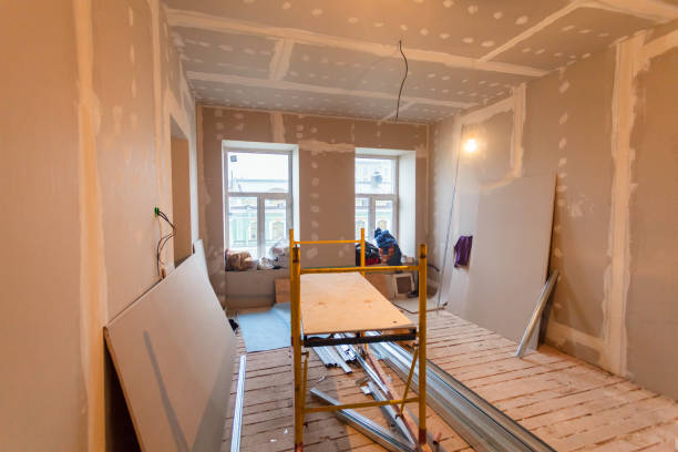 Abbeville, AL Mold Removal Company
